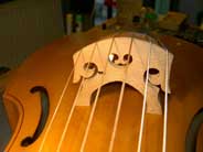 une cellule discr�te